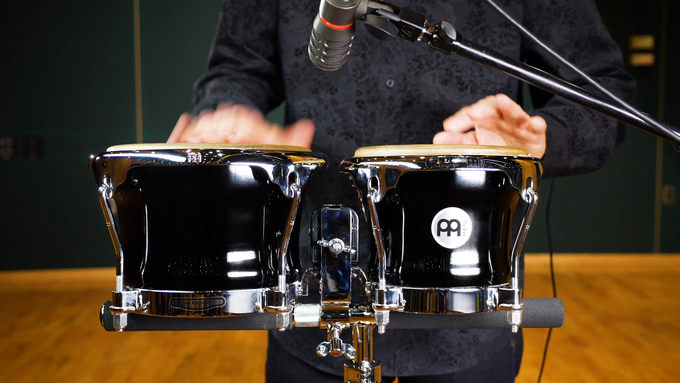 Fiberglass Bongo, True Skin Cow Head video