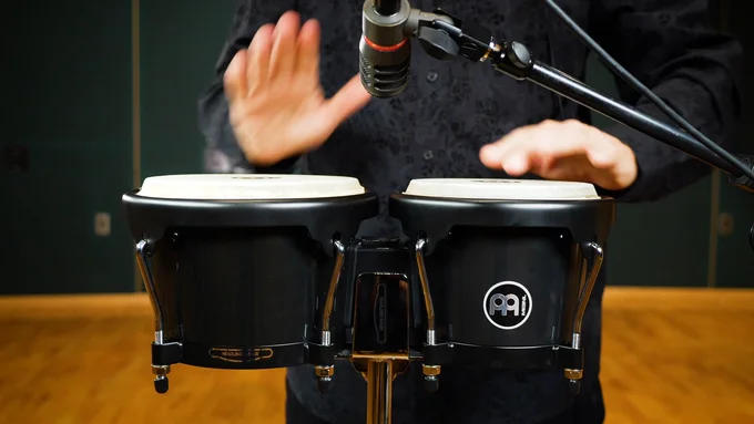 Meinl Headliner ABSウッド　ボンゴHB50BK Amazon.com: Meinl Percussion HFB100BK Headliner Series