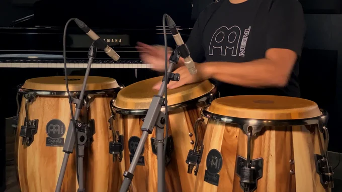 Amazon.com: Meinl Percussion Artist Series 11 3/4