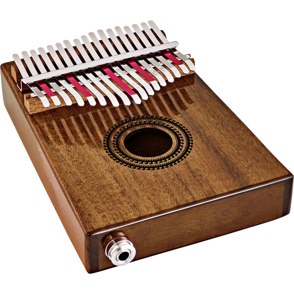 MEINL マイネル ボンゴ ROLAND ケース付属 09453b21-62fb-4fac-a53e-